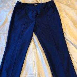 Express "Editor" pants blue